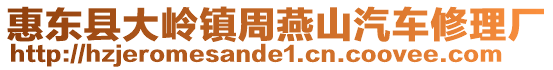 惠東縣大嶺鎮(zhèn)周燕山汽車修理廠