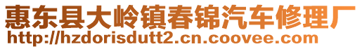 惠东县大岭镇春锦汽车修理厂