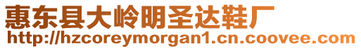 惠東縣大嶺明圣達(dá)鞋廠