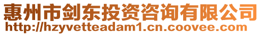 惠州市劍東投資咨詢有限公司