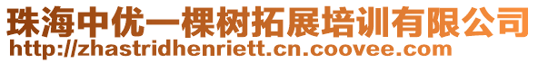 珠海中優(yōu)一棵樹拓展培訓有限公司