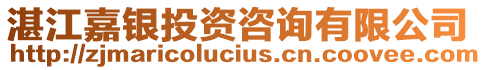 湛江嘉銀投資咨詢有限公司