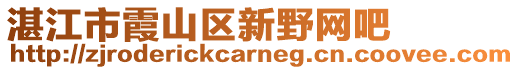 湛江市霞山区新野网吧