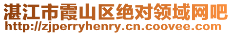 湛江市霞山區(qū)絕對領(lǐng)域網(wǎng)吧