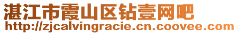 湛江市霞山區(qū)鉆壹網(wǎng)吧