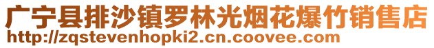 廣寧縣排沙鎮(zhèn)羅林光煙花爆竹銷售店