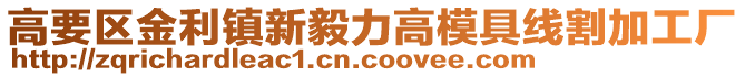 高要區(qū)金利鎮(zhèn)新毅力高模具線割加工廠