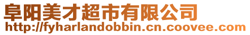 阜陽美才超市有限公司