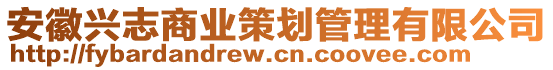 安徽兴志商业策划管理有限公司