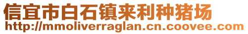 信宜市白石鎮(zhèn)來利種豬場