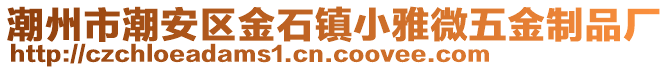 潮州市潮安区金石镇小雅微五金制品厂