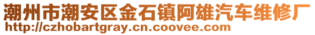 潮州市潮安區(qū)金石鎮(zhèn)阿雄汽車維修廠