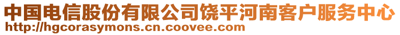 中国电信股份有限公司饶平河南客户服务中心