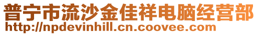 普寧市流沙金佳祥電腦經(jīng)營(yíng)部