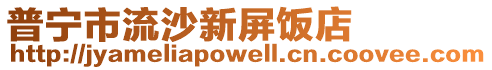 普寧市流沙新屏飯店