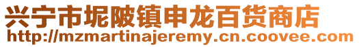 興寧市坭陂鎮(zhèn)申龍百貨商店