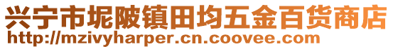 興寧市坭陂鎮(zhèn)田均五金百貨商店