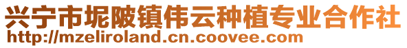 興寧市坭陂鎮(zhèn)偉云種植專業(yè)合作社