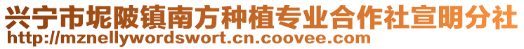 興寧市坭陂鎮(zhèn)南方種植專業(yè)合作社宣明分社