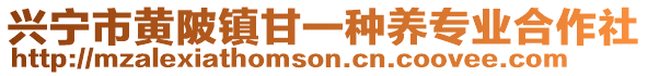 興寧市黃陂鎮(zhèn)甘一種養(yǎng)專業(yè)合作社