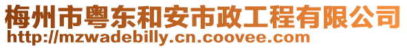 梅州市粤东和安市政工程有限公司