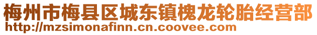 梅州市梅县区城东镇槐龙轮胎经营部