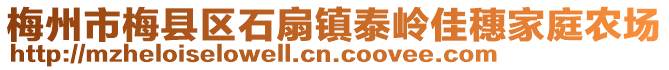 梅州市梅县区石扇镇泰岭佳穗家庭农场