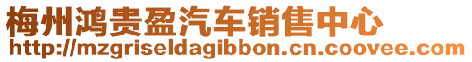 梅州鴻貴盈汽車銷售中心