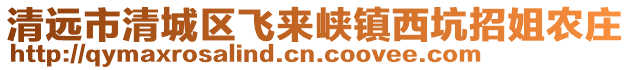 清遠(yuǎn)市清城區(qū)飛來峽鎮(zhèn)西坑招姐農(nóng)莊