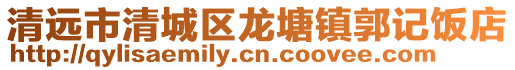 清遠(yuǎn)市清城區(qū)龍?zhí)伶?zhèn)郭記飯店