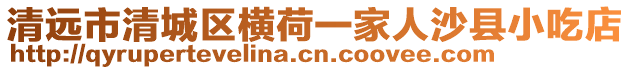 清遠(yuǎn)市清城區(qū)橫荷一家人沙縣小吃店