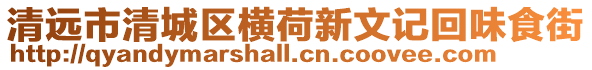 清遠市清城區橫荷新文記回味食街