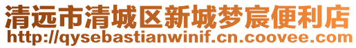 清遠(yuǎn)市清城區(qū)新城夢宸便利店