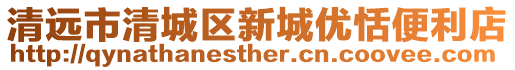 清遠市清城區新城優恬便利店