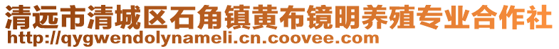 清遠市清城區(qū)石角鎮(zhèn)黃布鏡明養(yǎng)殖專業(yè)合作社