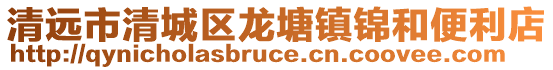 清遠市清城區(qū)龍?zhí)伶?zhèn)錦和便利店