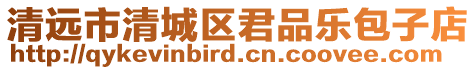 清遠(yuǎn)市清城區(qū)君品樂包子店