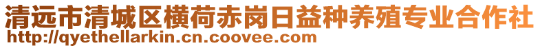 清遠市清城區(qū)橫荷赤崗日益種養(yǎng)殖專業(yè)合作社