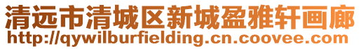 清遠市清城區新城盈雅軒畫廊
