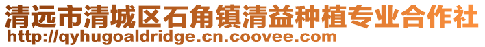 清遠市清城區石角鎮清益種植專業合作社