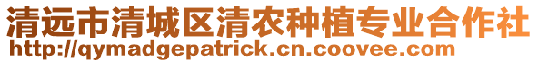 清遠市清城區清農種植專業合作社