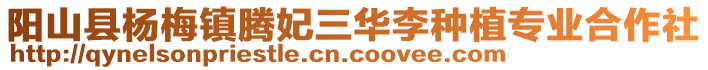 阳山县杨梅镇腾妃三华李种植专业合作社