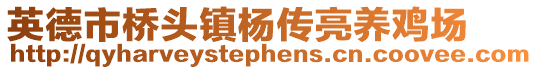 英德市桥头镇杨传亮养鸡场