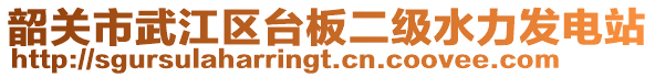 韶關(guān)市武江區(qū)臺(tái)板二級(jí)水力發(fā)電站