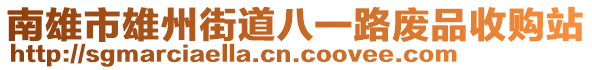 南雄市雄州街道八一路廢品收購站