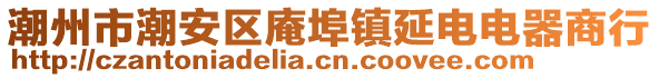 潮州市潮安區(qū)庵埠鎮(zhèn)延電電器商行