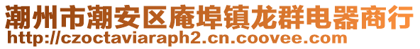 潮州市潮安區(qū)庵埠鎮(zhèn)龍群電器商行