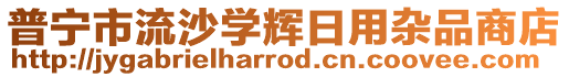 普寧市流沙學(xué)輝日用雜品商店