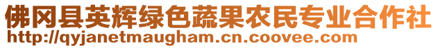 佛岡縣英輝綠色蔬果農(nóng)民專業(yè)合作社