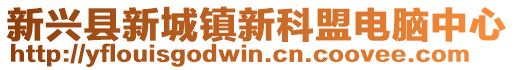 新興縣新城鎮(zhèn)新科盟電腦中心